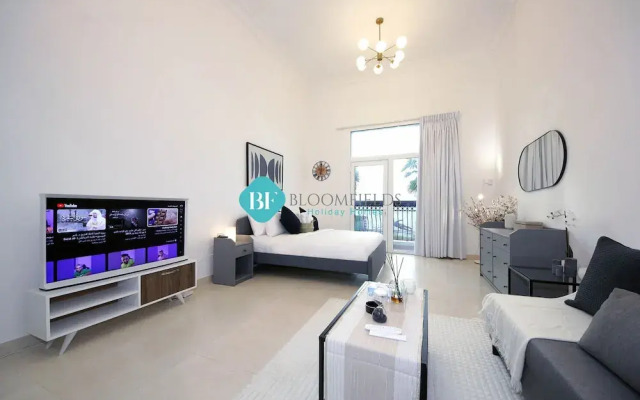 Spacious Studio Apartment