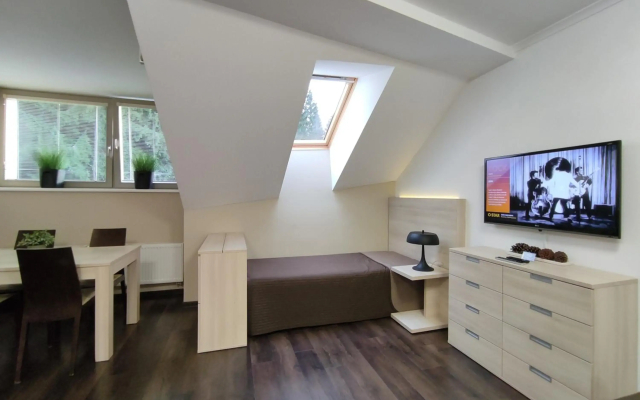 Horský Apartmán 303 v Anenském údolí s O2 TV a stabilní rychlou WIFI - Hotel in Harrachov - Photo 3