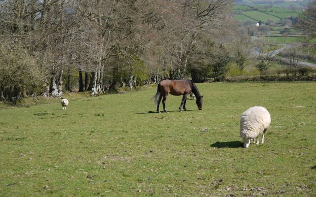 Cefn Bryn Cottage