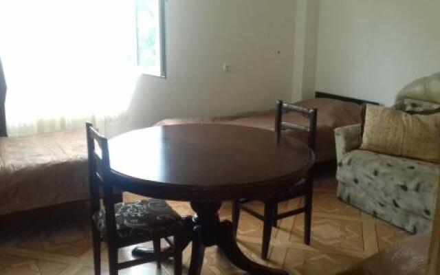 Guest House on Rustaveli 347D