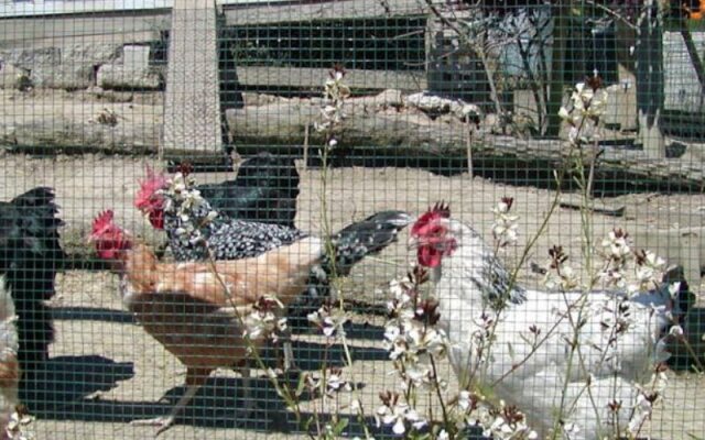 A Culinary Experience Luxury Bed and Breakfast