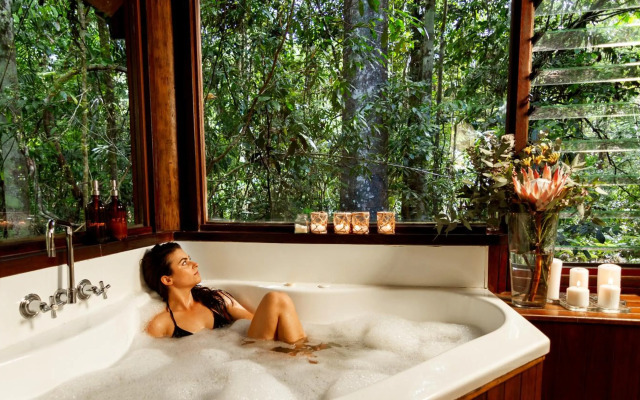 The Canopy Rainforest Treehouses and Wildlife Sanctuary
