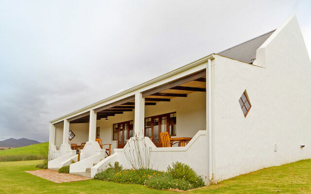 Endless Vineyards at Wildekrans Wine Estate