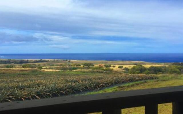 Maunga roa eco lodge