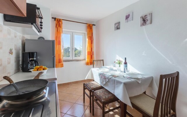 Stunning Apartment in Fazana With 2 Bedrooms and Wifi