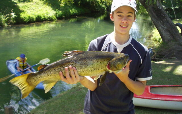 Waiteti Trout Stream Holiday Park