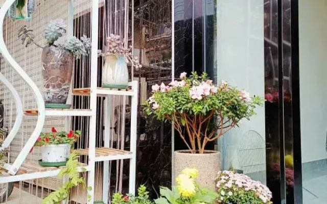 Qingcheng · Homestay in the Misty Rain