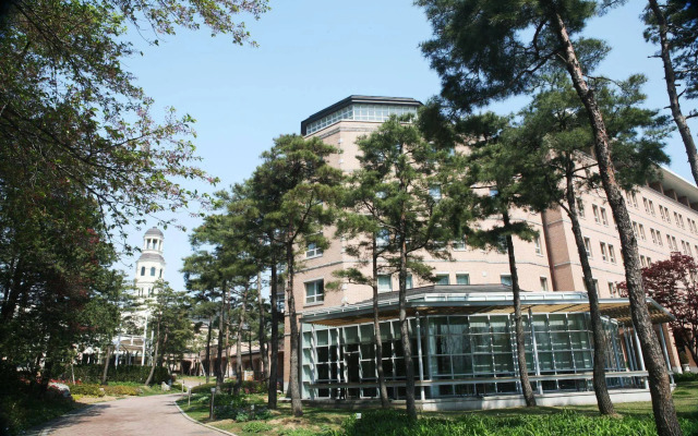 Mayfield Hotel Seoul