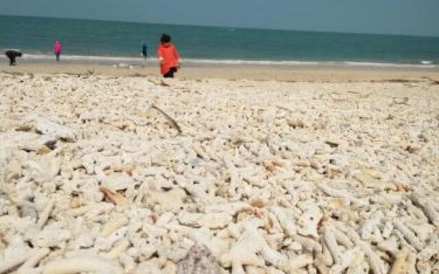 Weizhou Island Guyuan Beishe