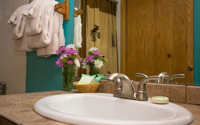 Crested Butte Condominiums