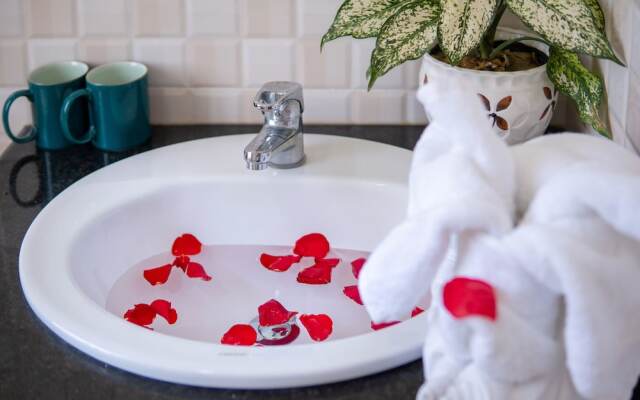 Ideal Villa and Hostel