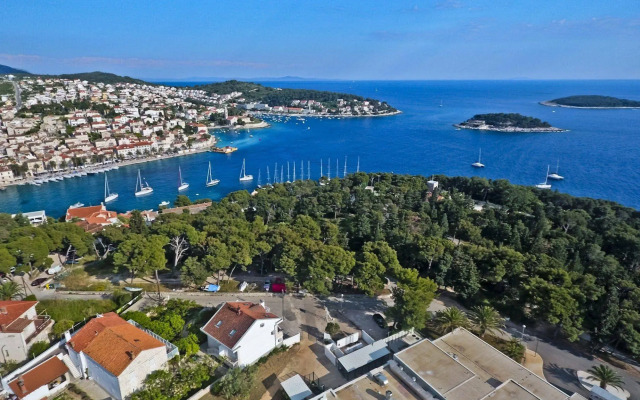 Violeta Hvar