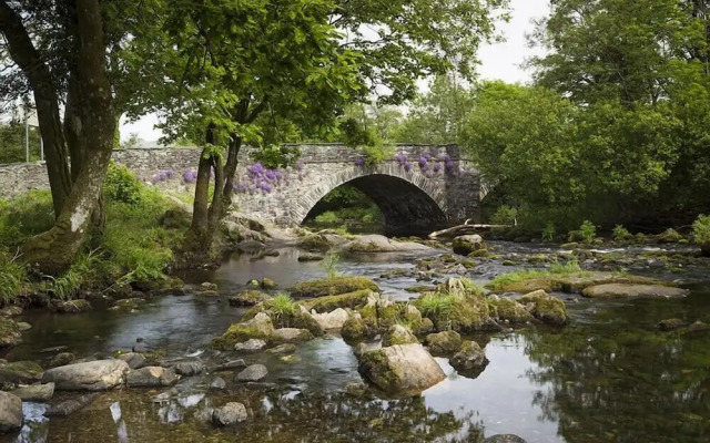 Rosewood by the River