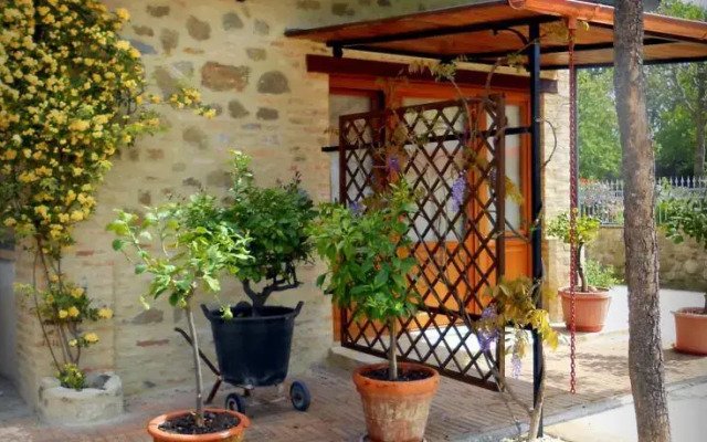 Il Garofano