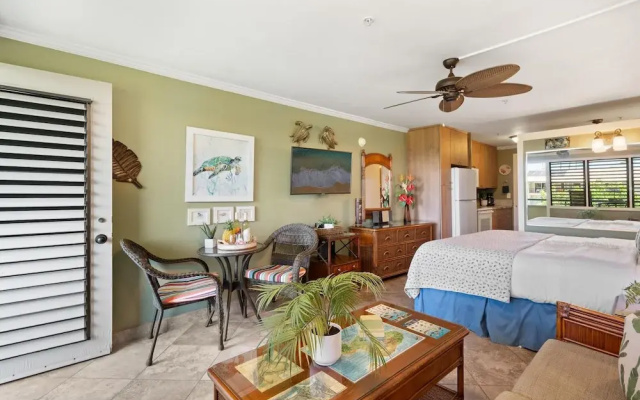 Napili Bay 210 in Lahaina