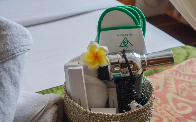Ubud Aura Retreat