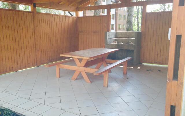 Peumayén Departamento Pucón