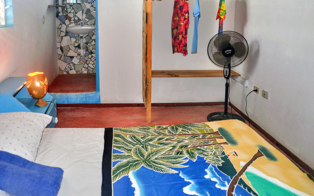 Hostel La Ballena Backpacker