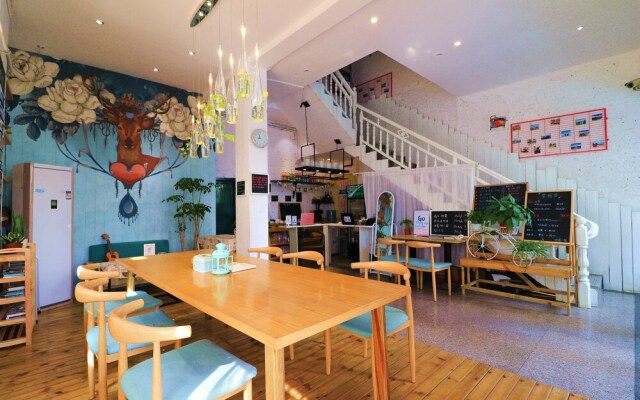 meeting the cats hostel