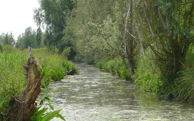 ibis Saint Omer Centre