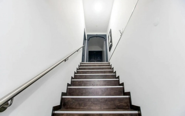 Papa s Cedofeita III