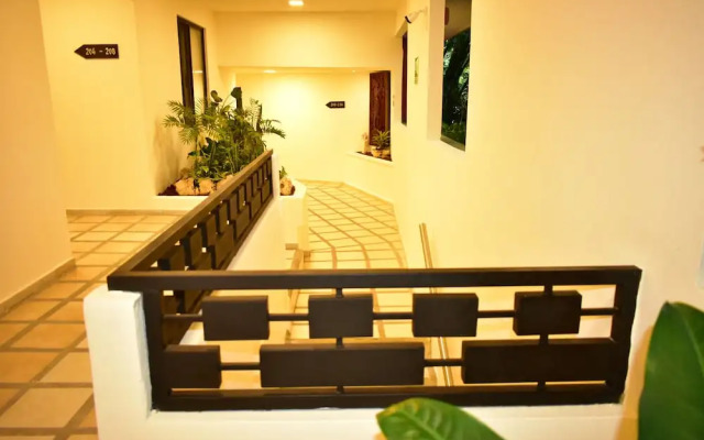 Maya Tulipanes Express