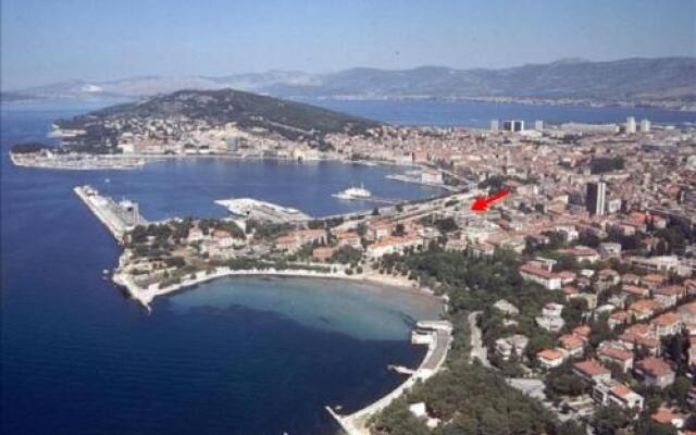 Happy Jackdaw in the Center of Split