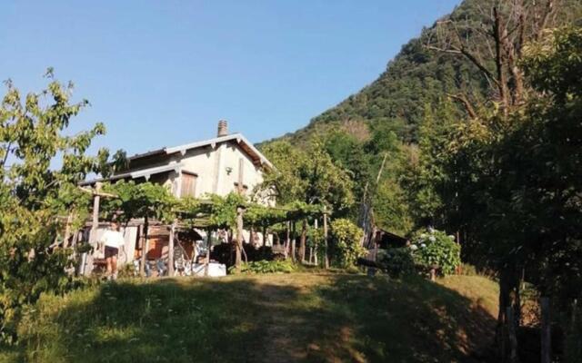 Il Vigneto Sul Lago Vineyard Lake View