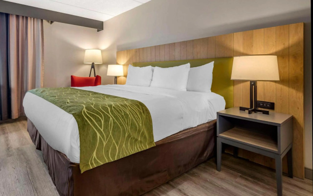 Comfort Inn & Suites Liverpool - Syracuse North