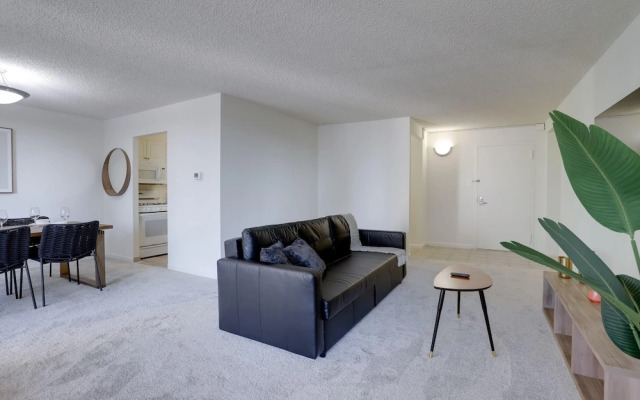 Charming Elegance Crystal City Apartment