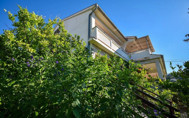 Frane - With Garden - A2