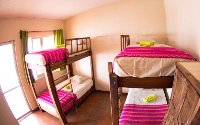 La sirena hostal