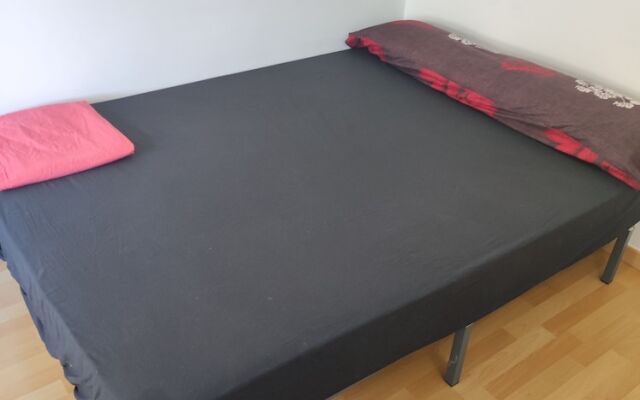 HIDALMEN Arte Rupestre