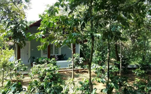 Whispering Woods By Rai Hospitalities