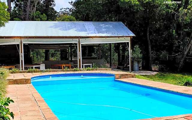 Plett Forest Cabins
