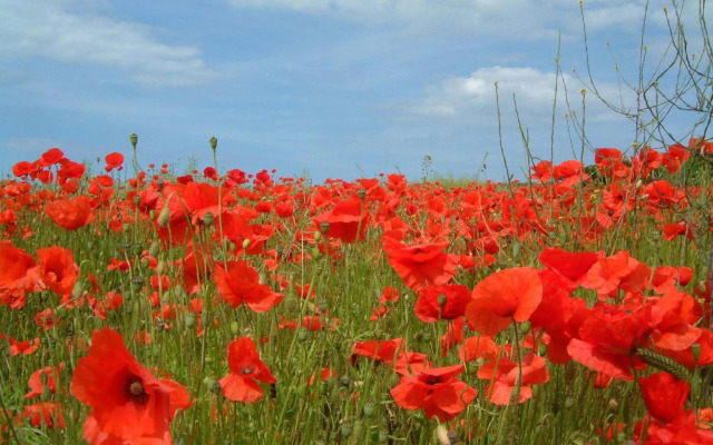 Novotel Ieper Centrum Flanders Fields