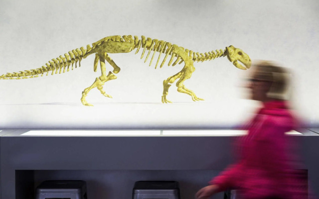 Heeton Concept Hotel Kensington