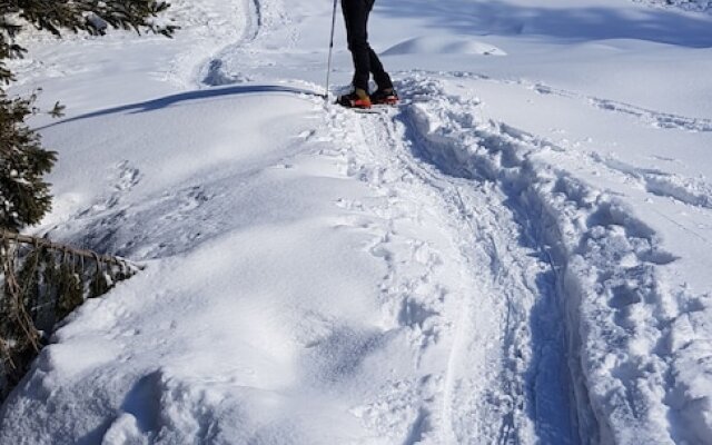 Pension Chalet Berkana