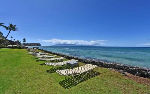 Kaleialoha 309