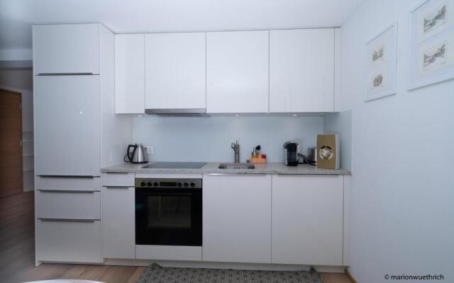 Mountain Apartments Zermatt Nr 6