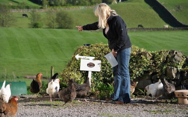 Airds Farm Guest House