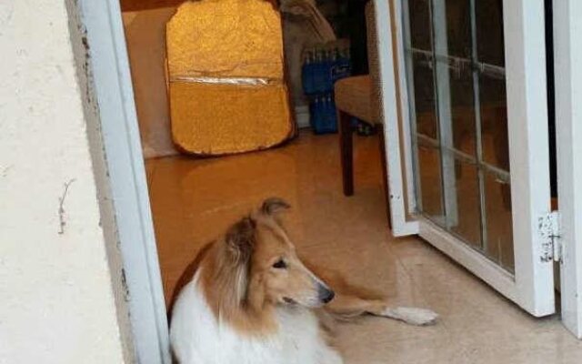 Small White Whale Inn