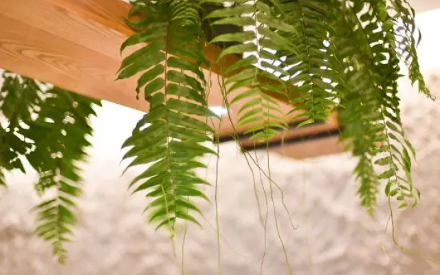 Qiuguo Hotel（Chaoyang store）