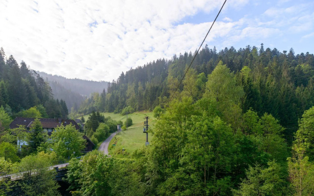 Black Forest Family Apartment-Zum Letzten G'Stehr