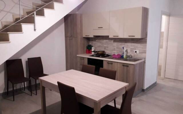 Narciso house