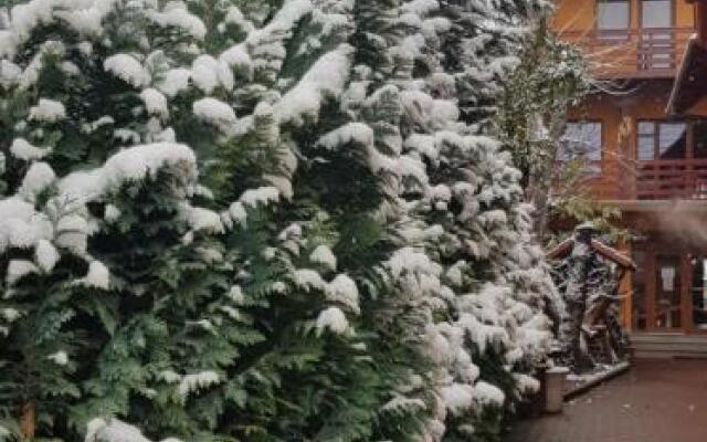 Pensiunea Casa Zarnesteana