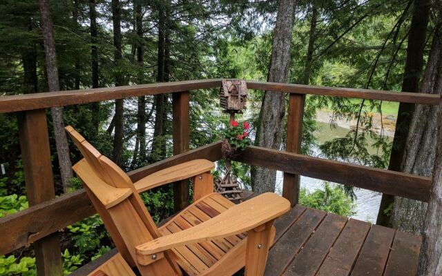 Wild Pacific Waterfront Cabins