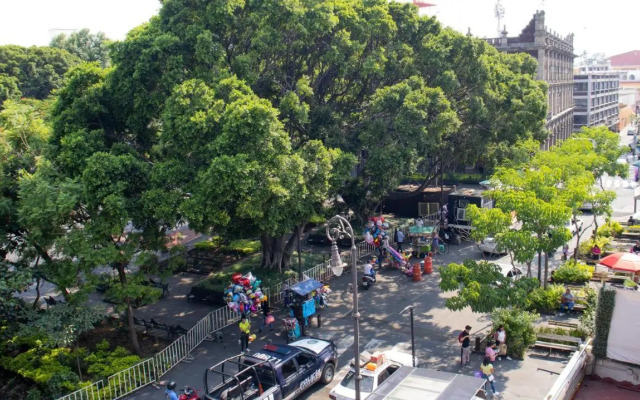 Suites Las Plazas