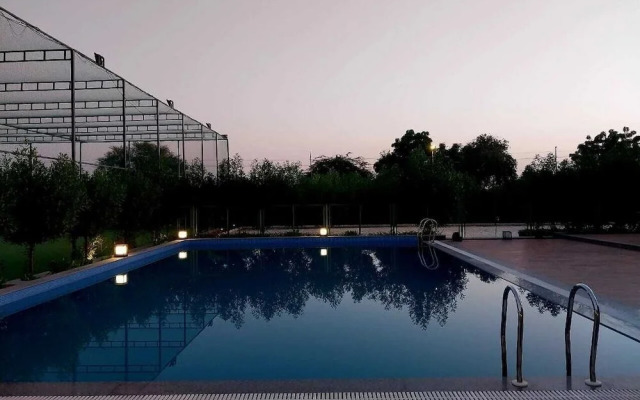 The Camellia by YUHI