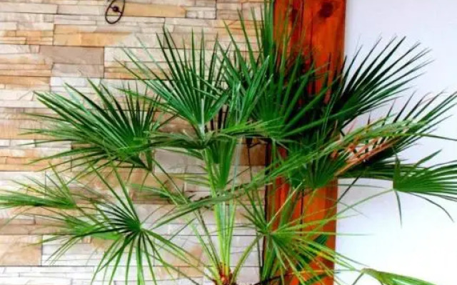 Pokoje Gościnne Kowalscy